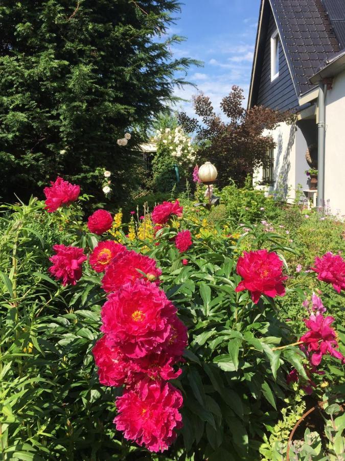 T' Hogeland Ainrom Bed & Breakfast Eenrum Eksteriør bilde